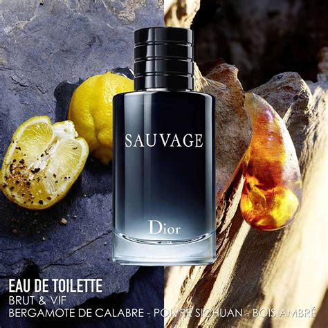 sovuage dior estasy|Sauvage Eau de Toilette .